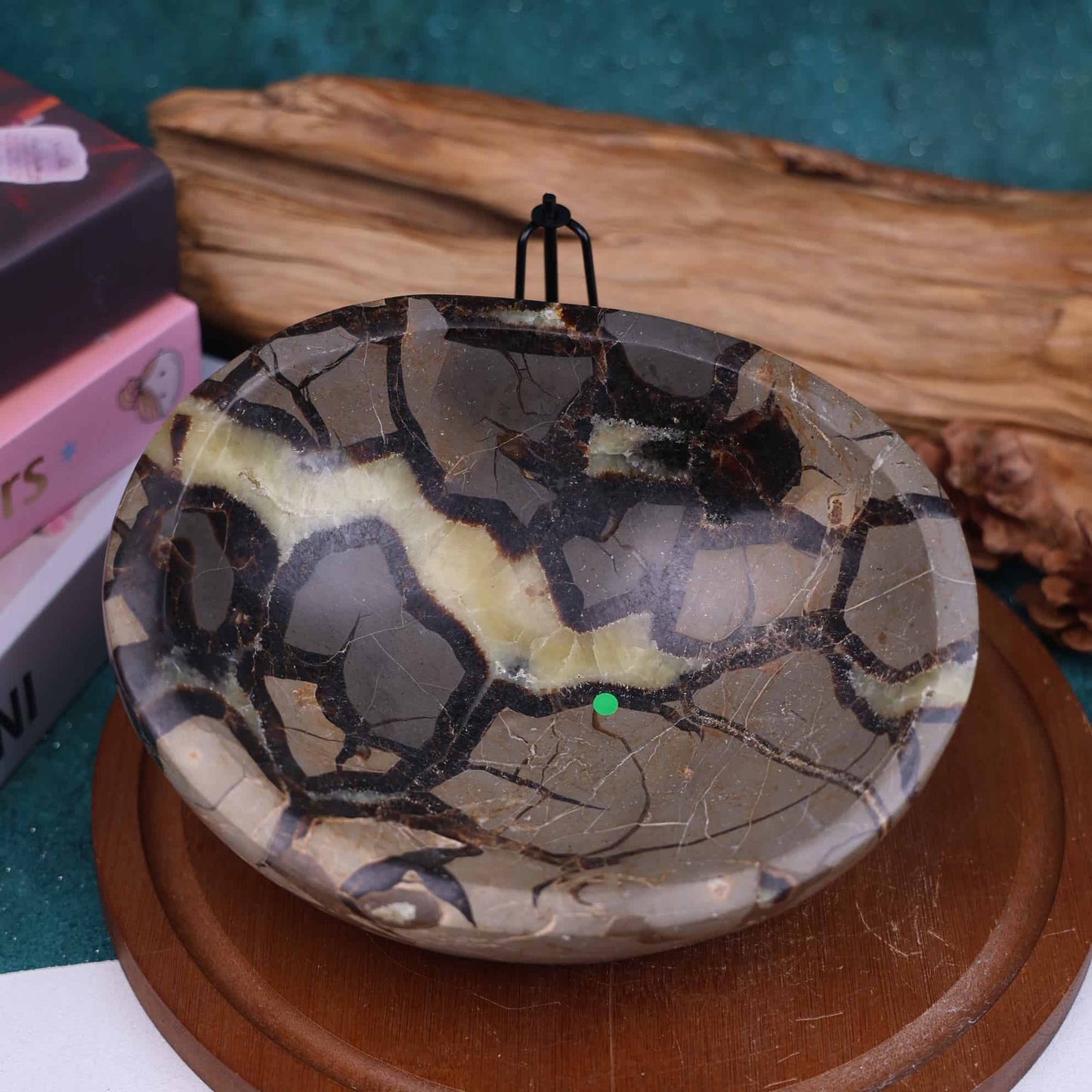 Septarian Bowl #30