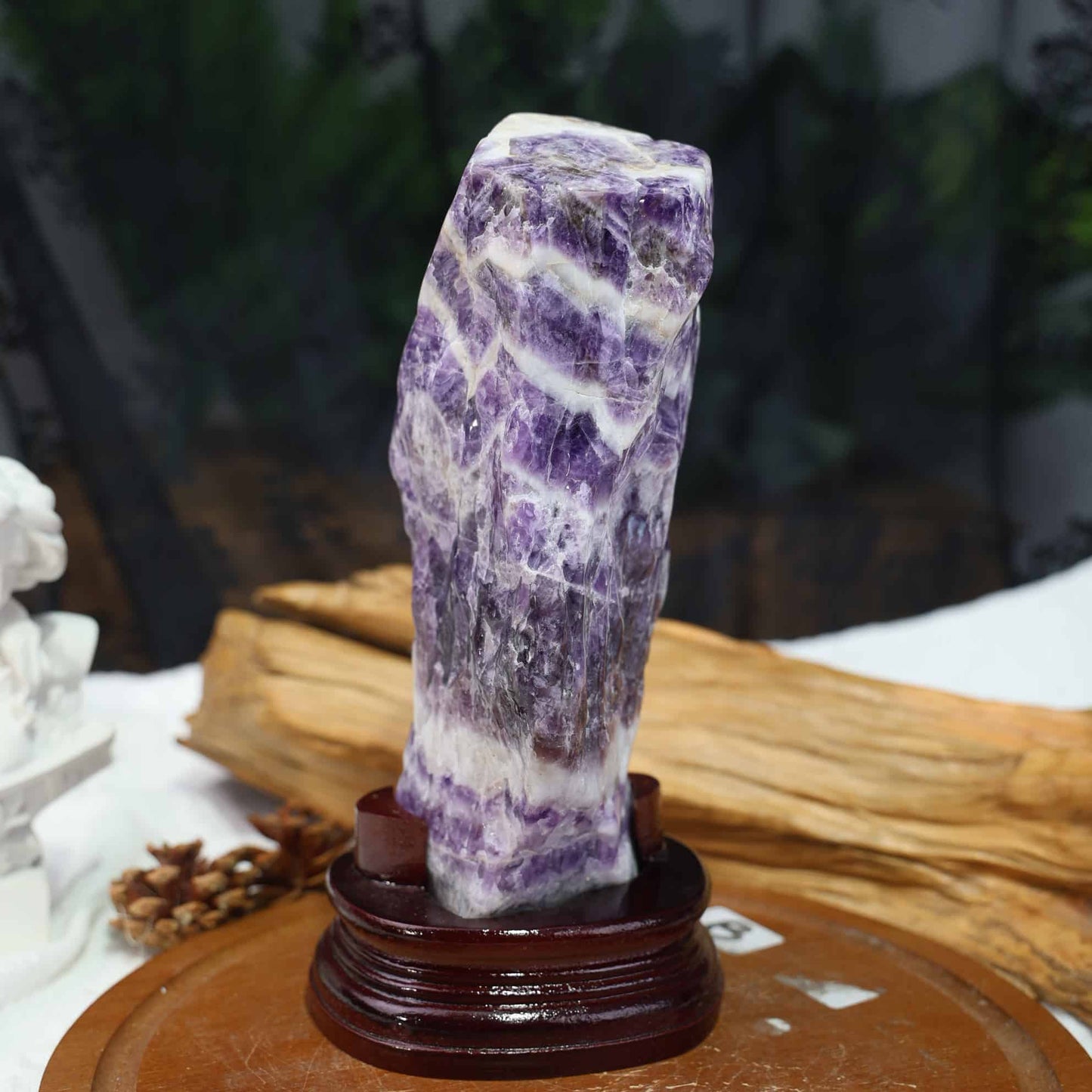 Dream Amethyst Freeform #12