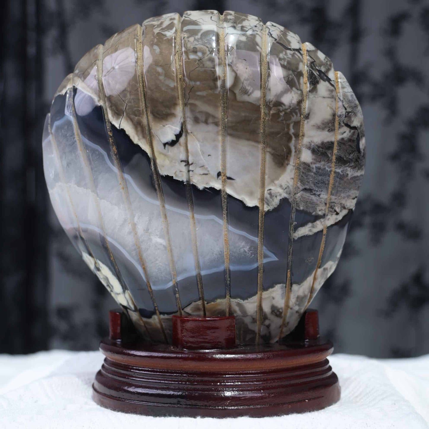Volcano Agate Shell Carving #64