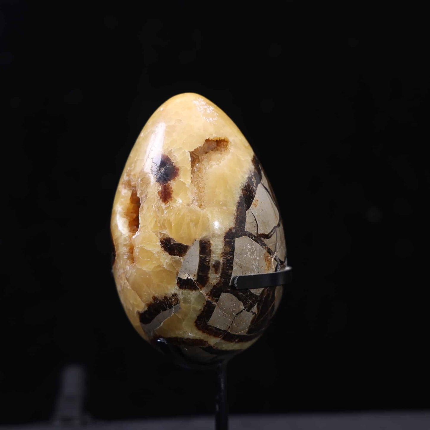 Septarian Egg