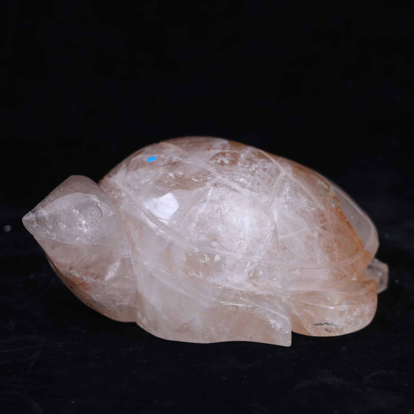 Clear Quartz With Golden Healer Turtle
