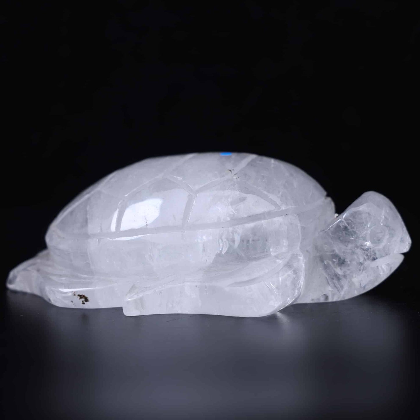 Clear Quartz Turtle #18