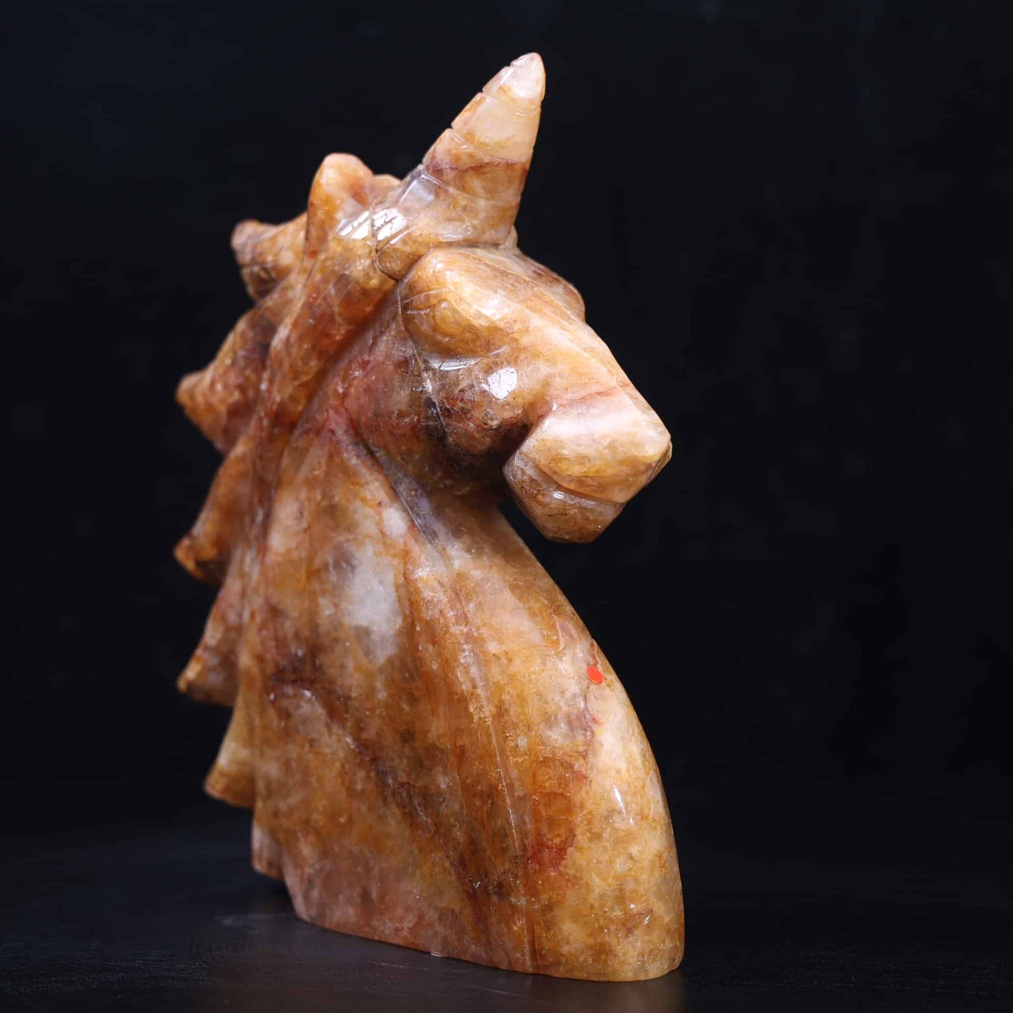 Golden Healer Unicorn #61