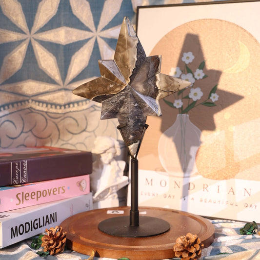 Volcanic Agate Polaris