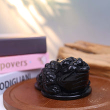 Silver Obsidian Money Toad #7