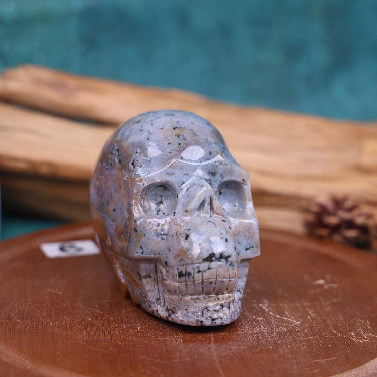 Ocean Jasper Skull #46
