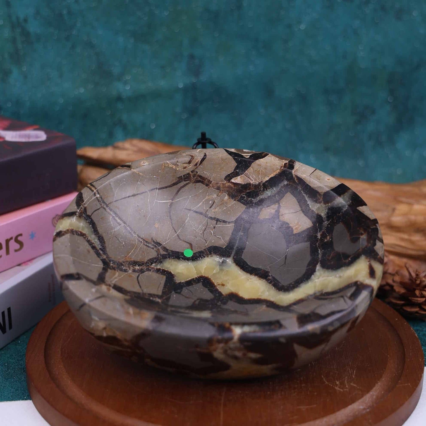 Septarian Bowl #30