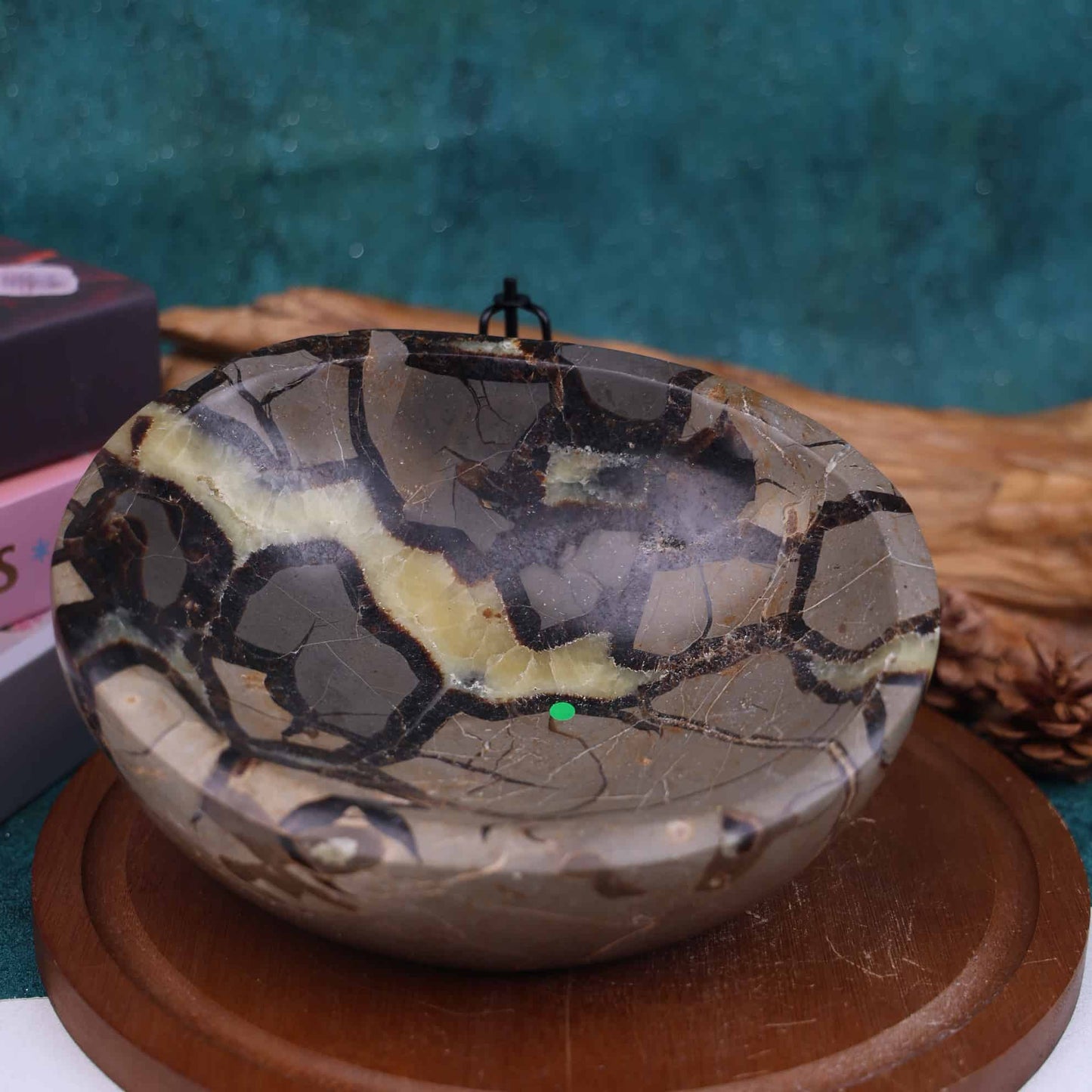Septarian Bowl #30
