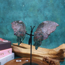 Ocean Jasper Butterfly