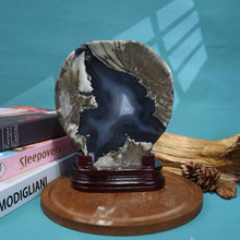 Volcano Agate Shell Carving #7