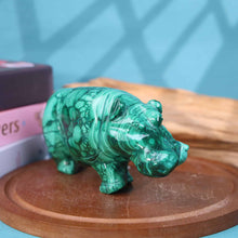 Malachite Rhino