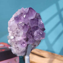 Amethyst  Cluster