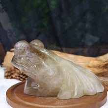 Smoky Citrine Goldfish Carving