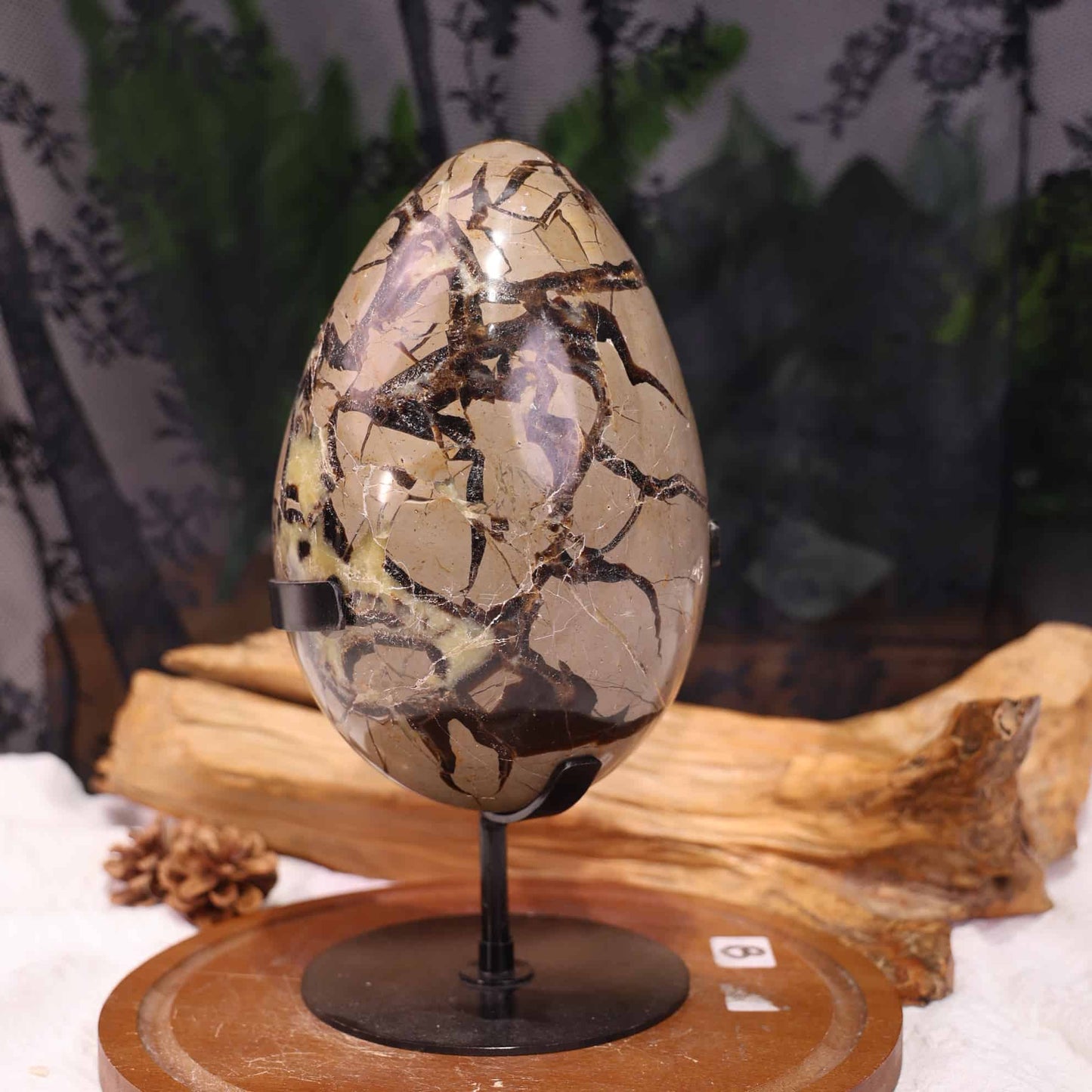 Septarian Egg #83