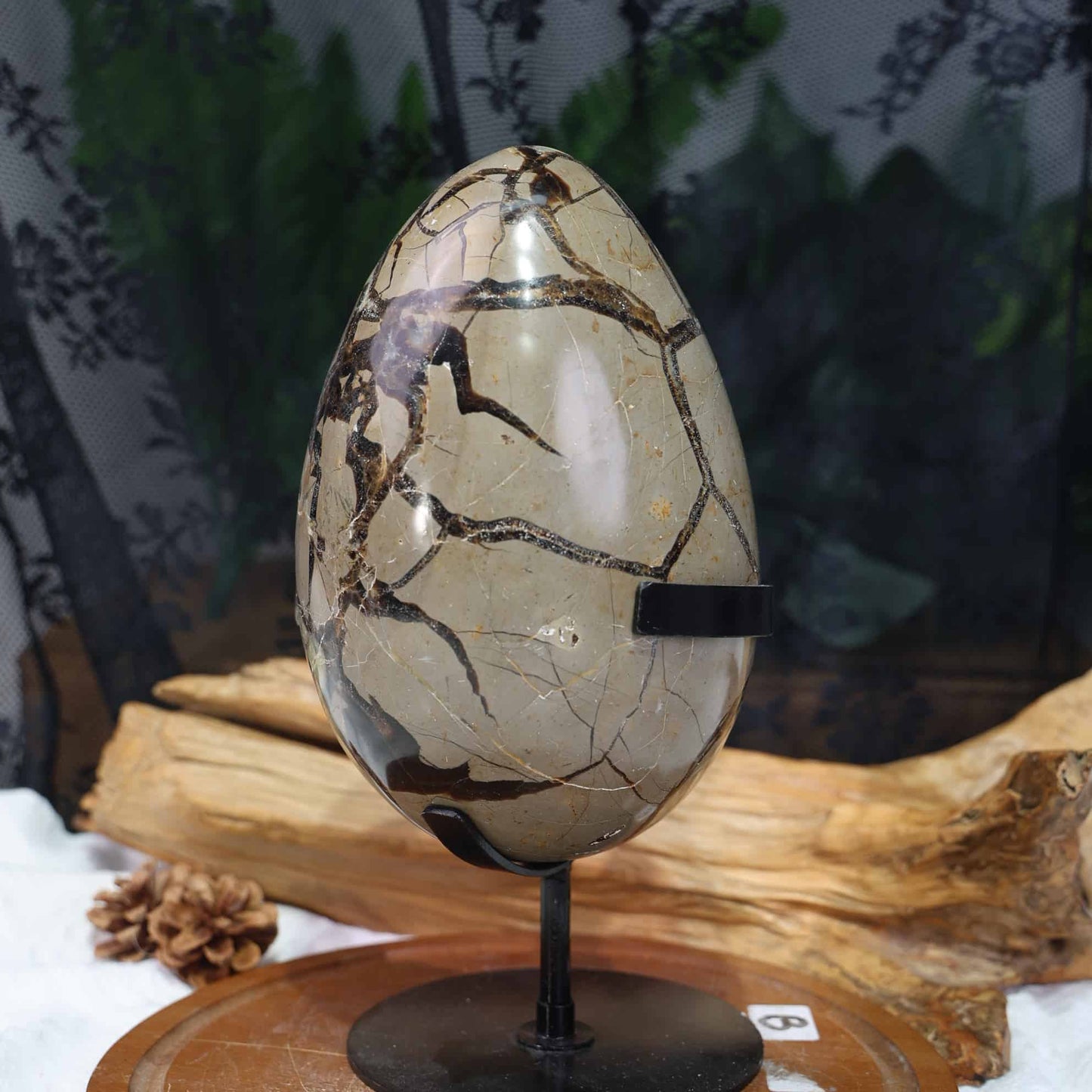 Septarian Egg