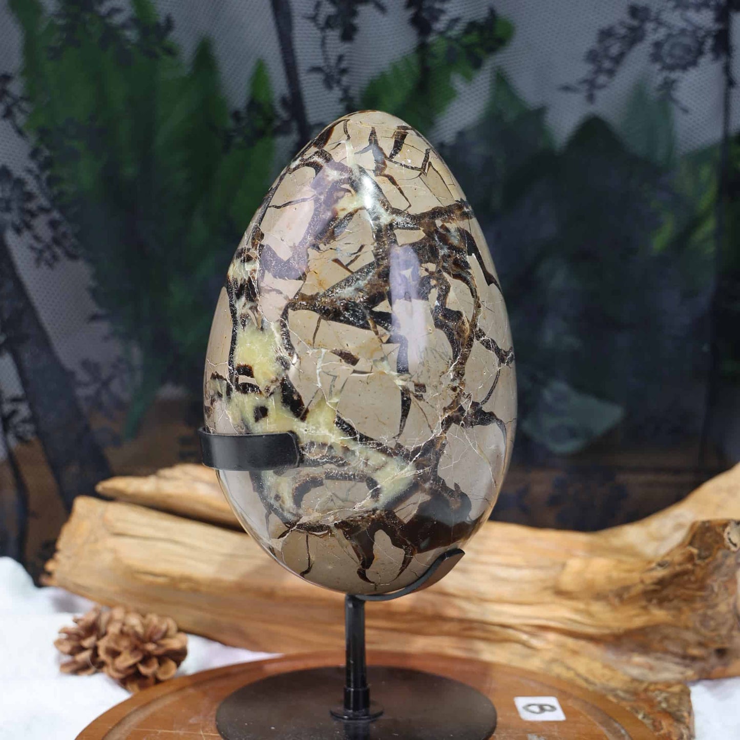 Septarian Egg