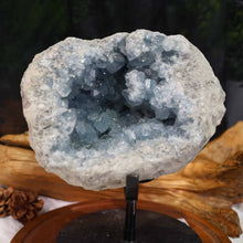 Celestite Cluster