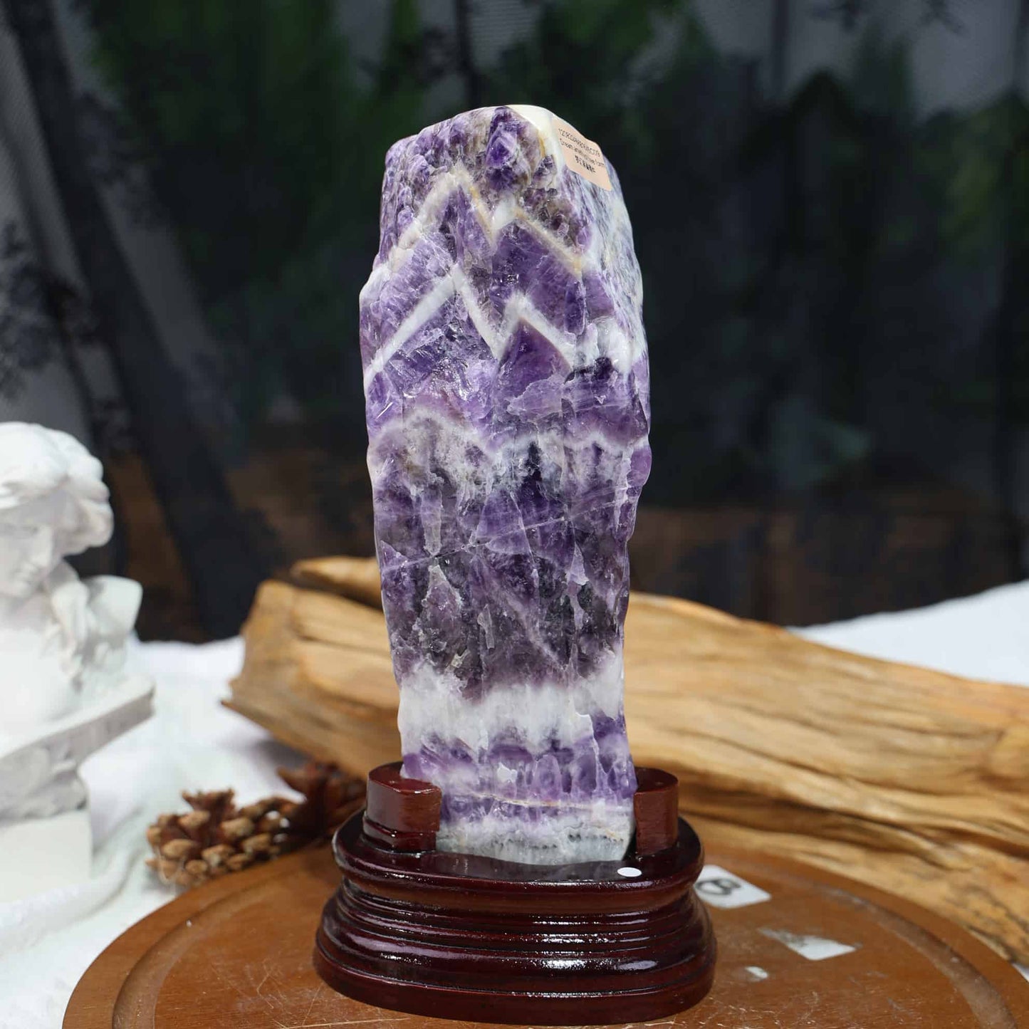 Dream Amethyst Freeform #12