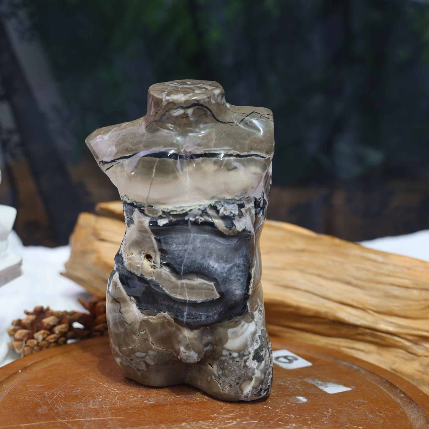Volcano Agate Male Model #57