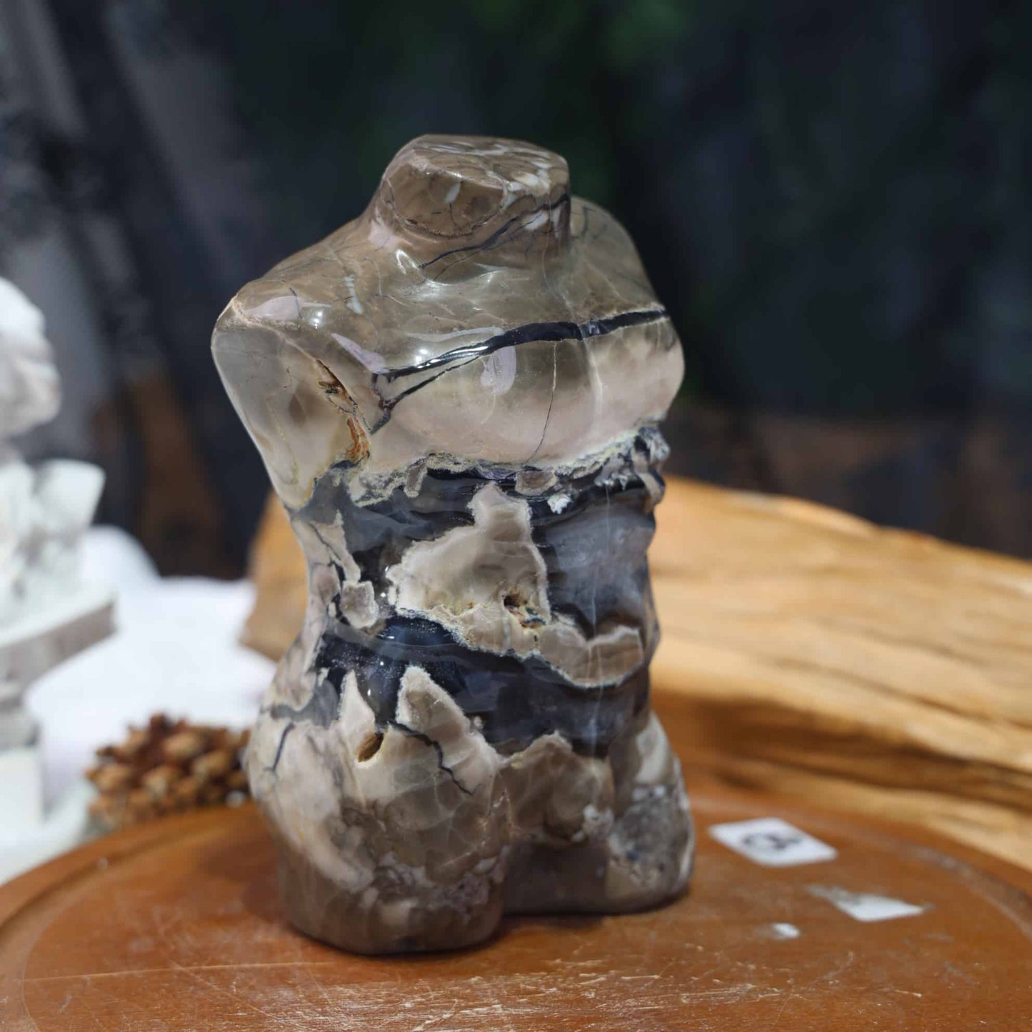 Volcano Agate Male Model #57