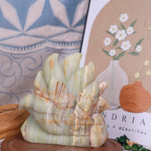 Afghan Jade Nine-tail Fox