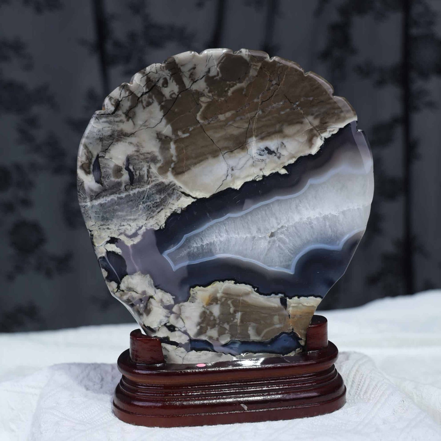 Volcano Agate Shell Carving #64