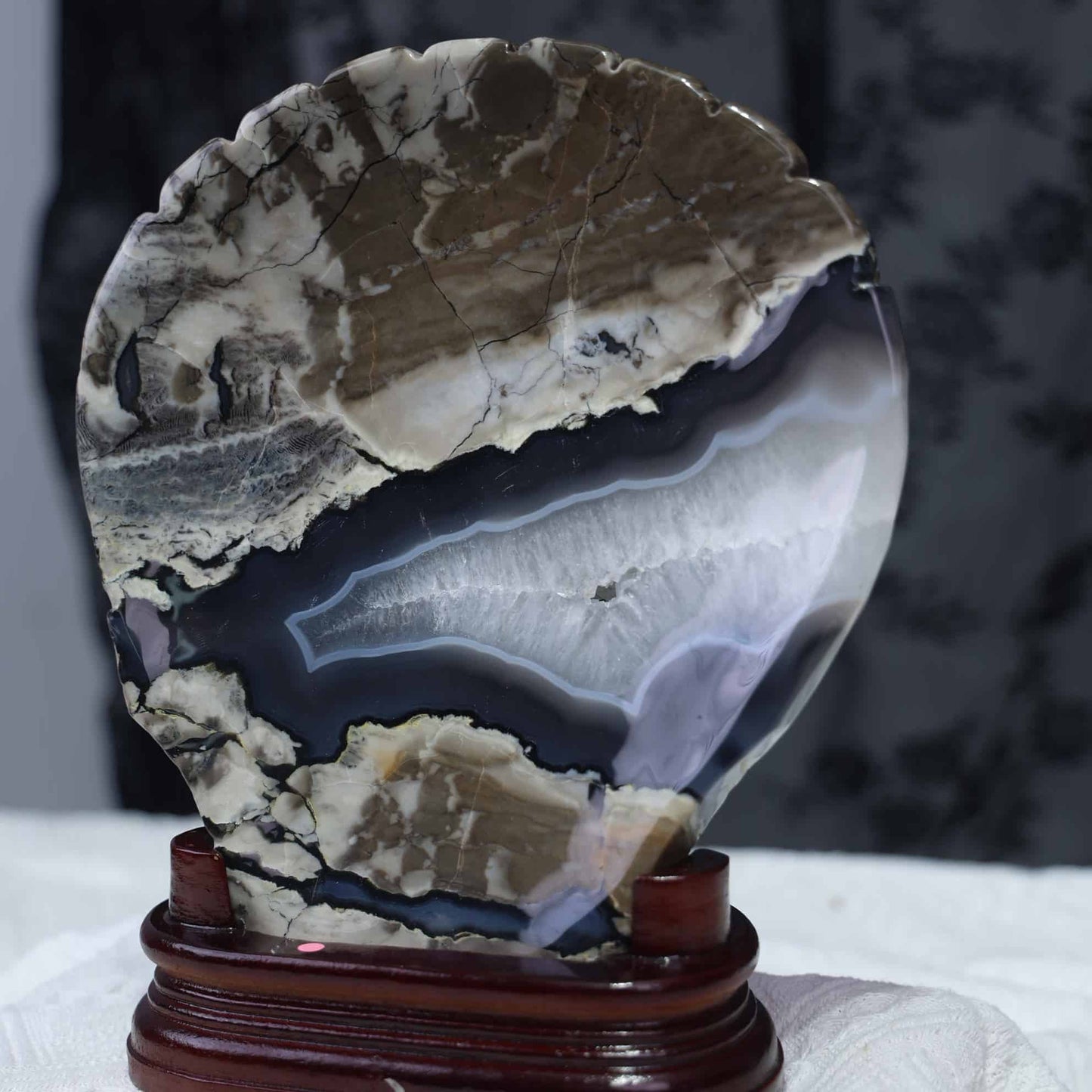 Volcano Agate Shell Carving #64