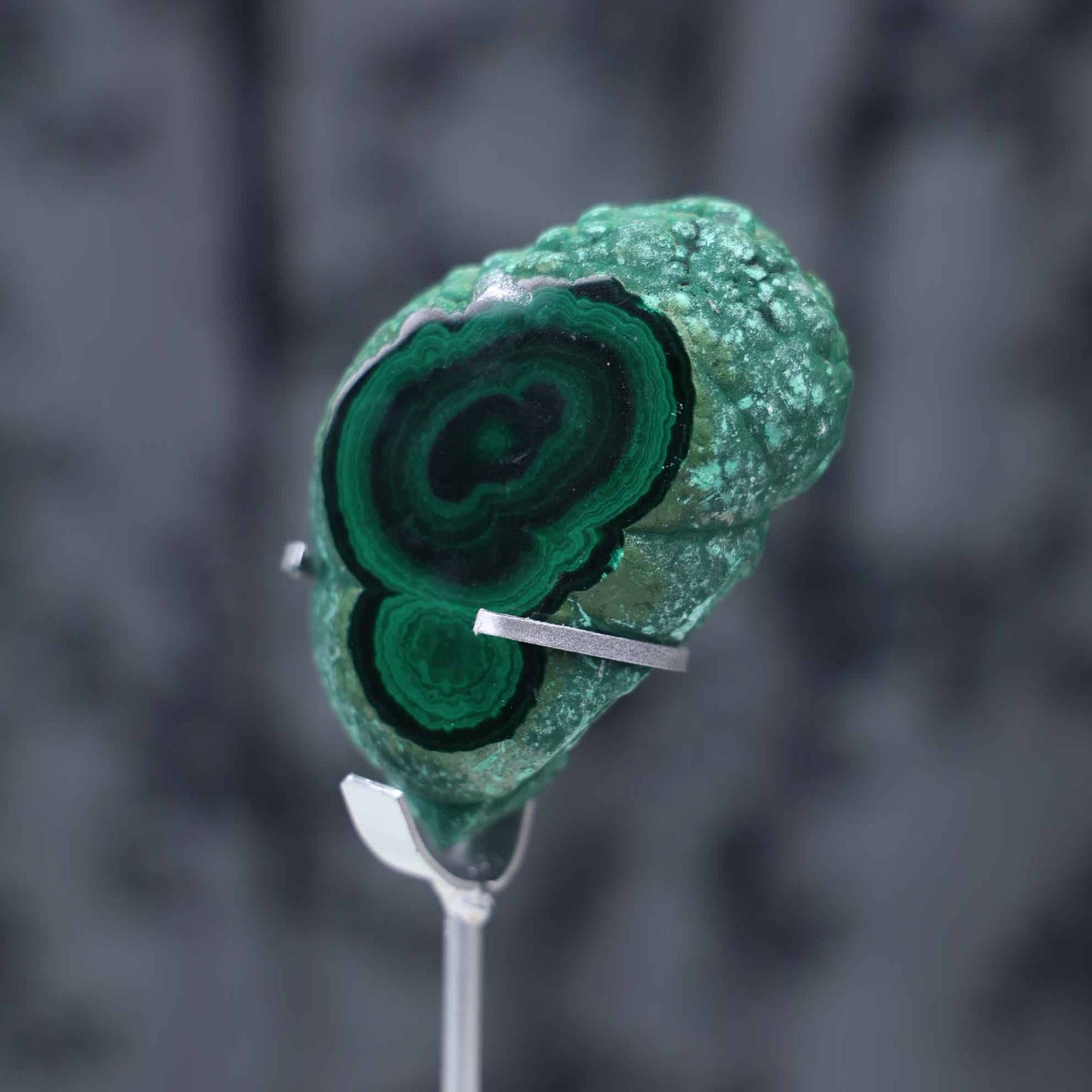 Malachite Slab #99