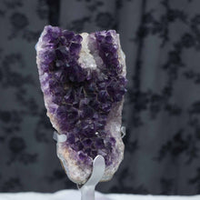 Amethyst Cluster