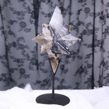 Volcano Agate North Star