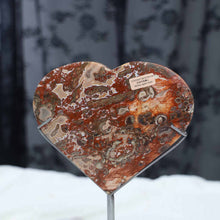 Money Agate Heart