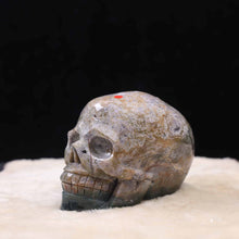 Ocean Jasper Skull #81
