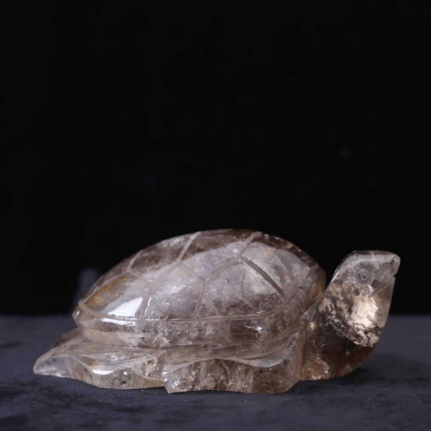 Smoky Quartz Turtle #59