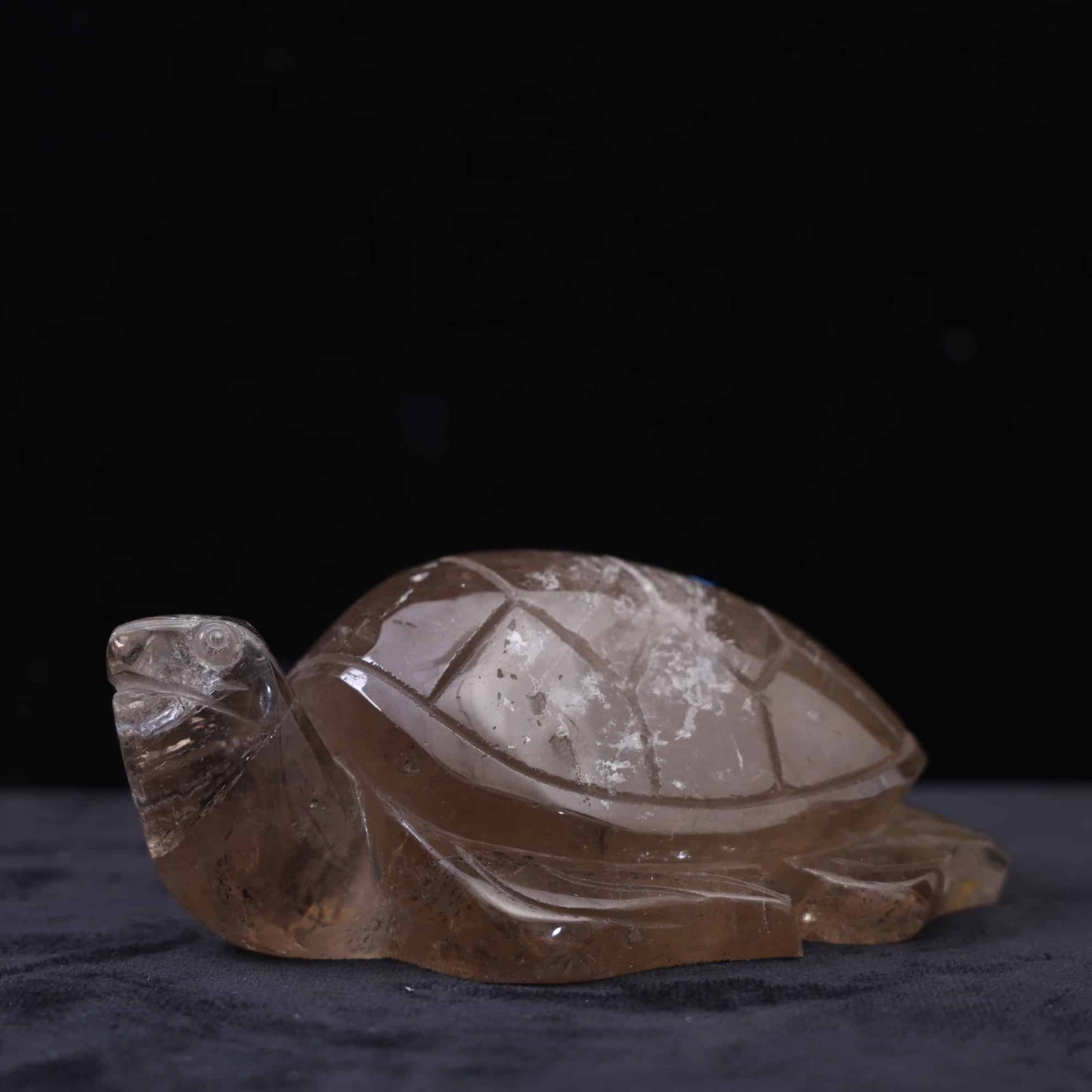 Smoky Quartz Turtle #59