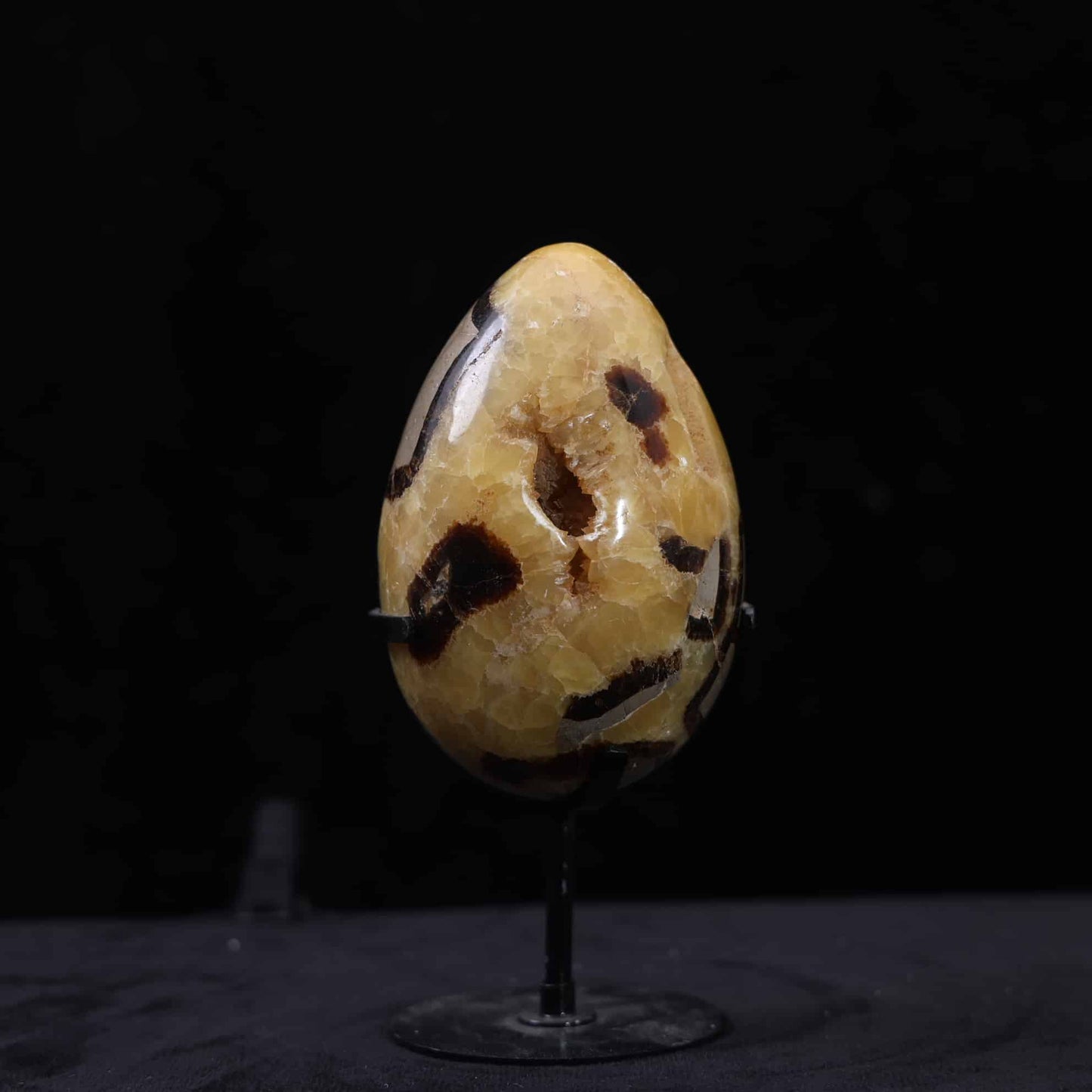 Septarian Egg #6