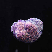 Aura Quartz Heart Shape