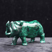 Malachite Rhino
