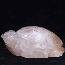 Clear Quartz With Golden Healer Turtle