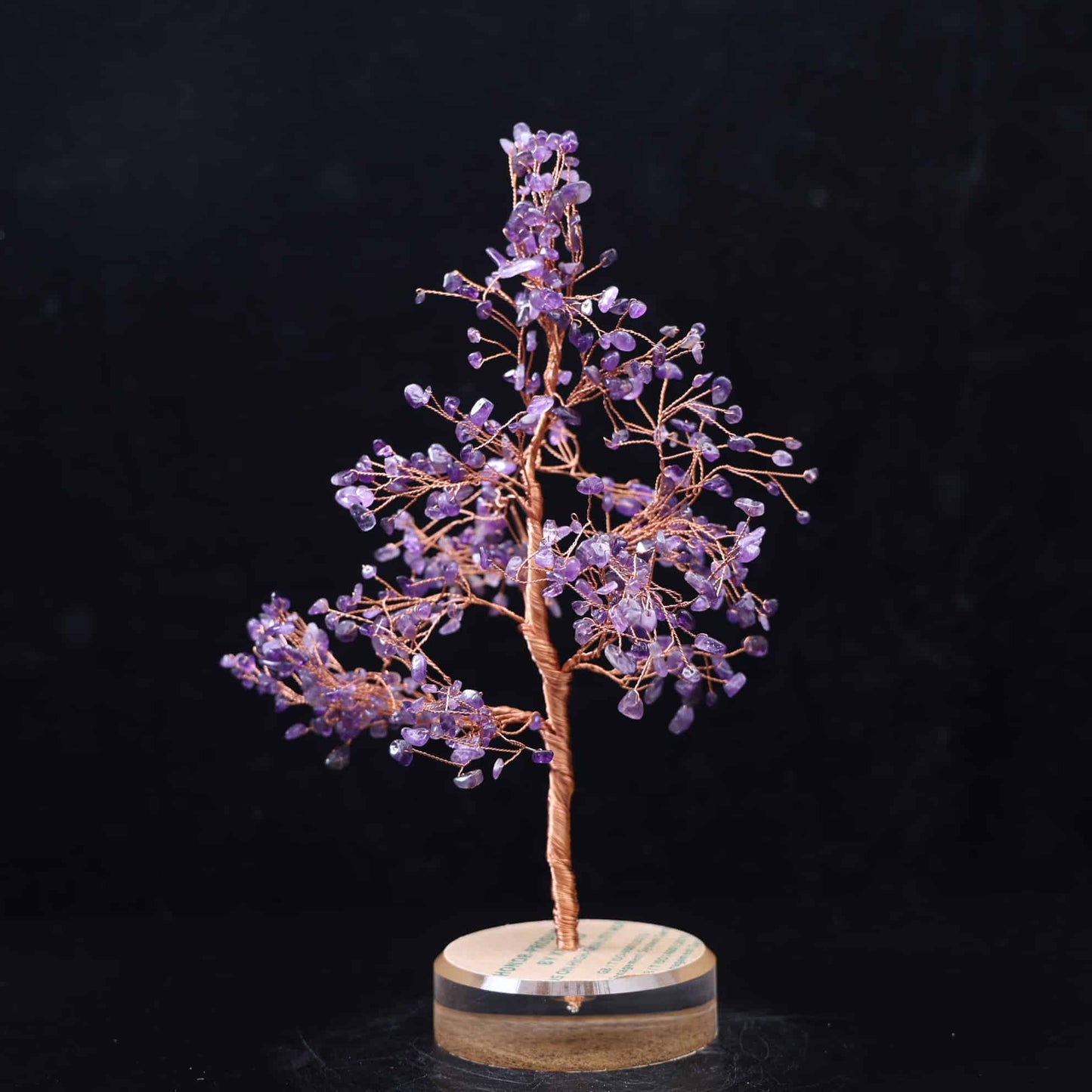 Amethyst Money Tree