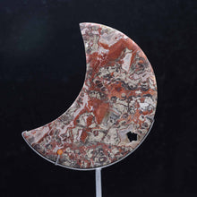 Money Agate Moon