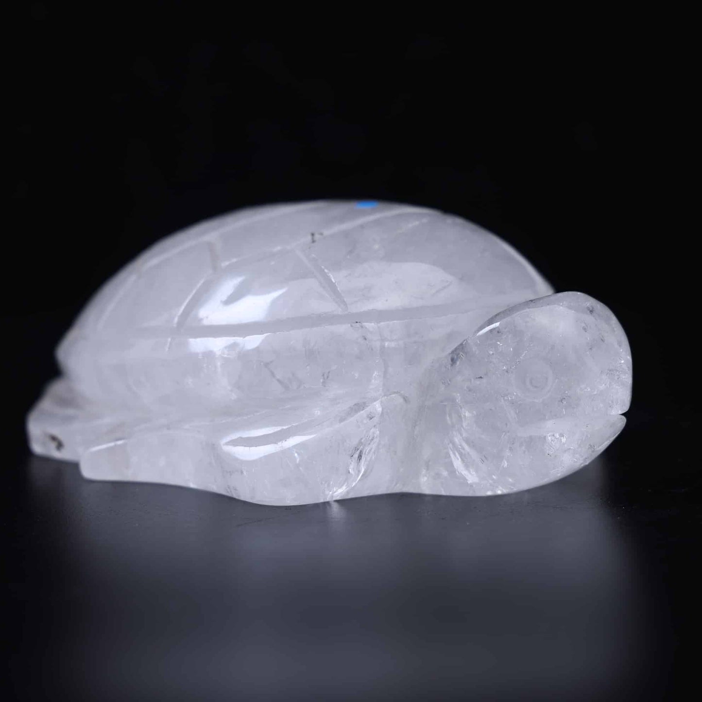 Clear Quartz Turtle #18