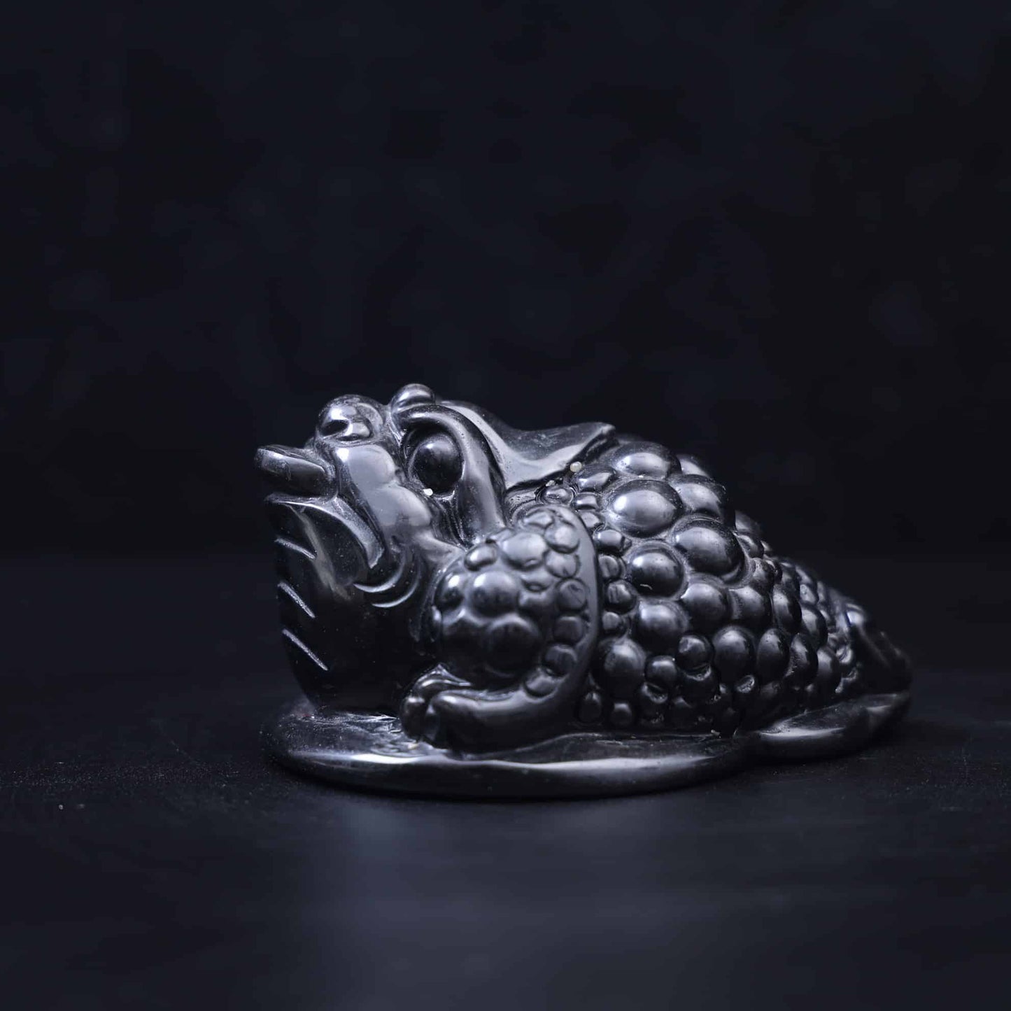 Silver Obsidian Money Toad #63