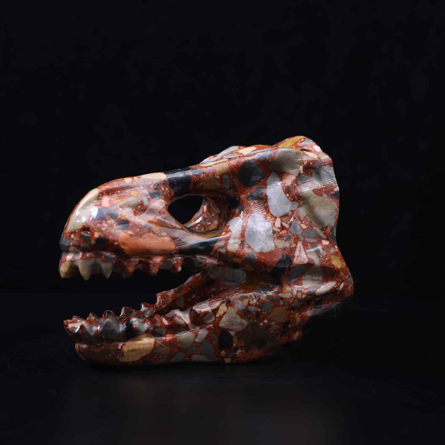 Nongken Jade Dinosaur Skull #9