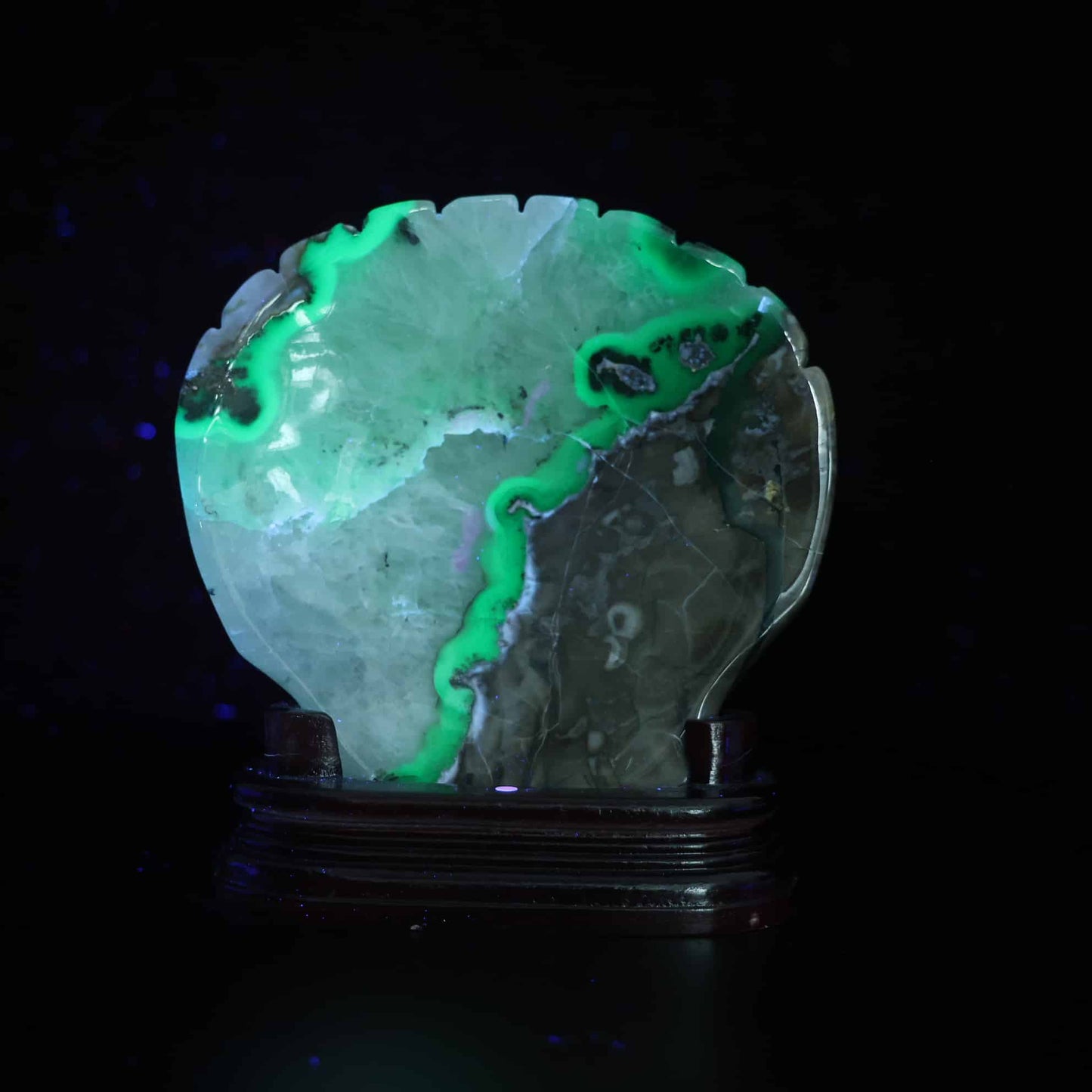 Volcano Agate Shell