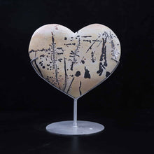 Picture Jasper Heart