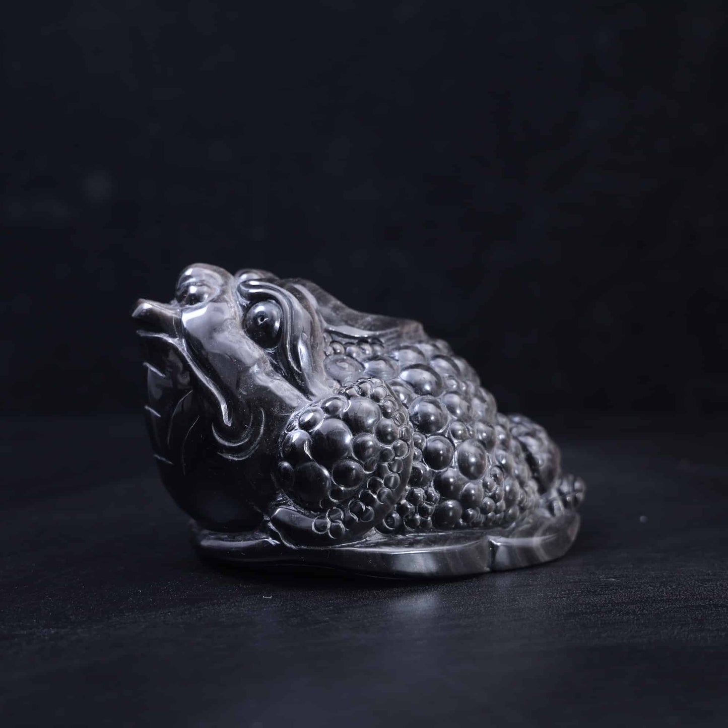Silver Obsidian Money Toad #44