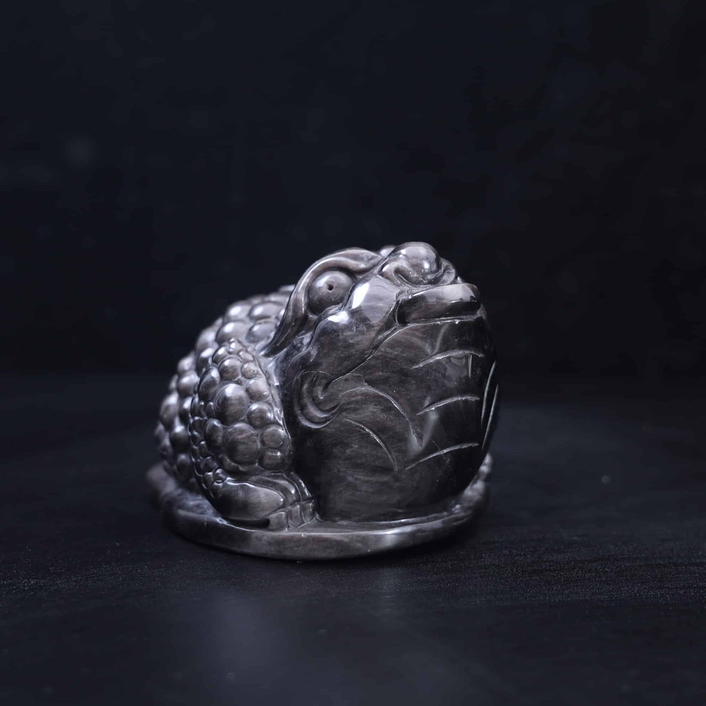 Silver Obsidian Money Toad #44