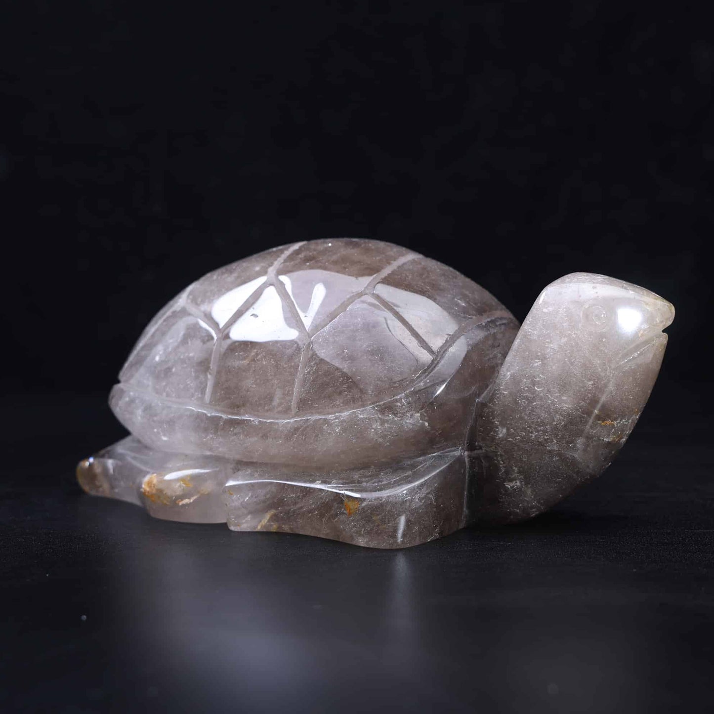 Smoky Quartz Turtle #53
