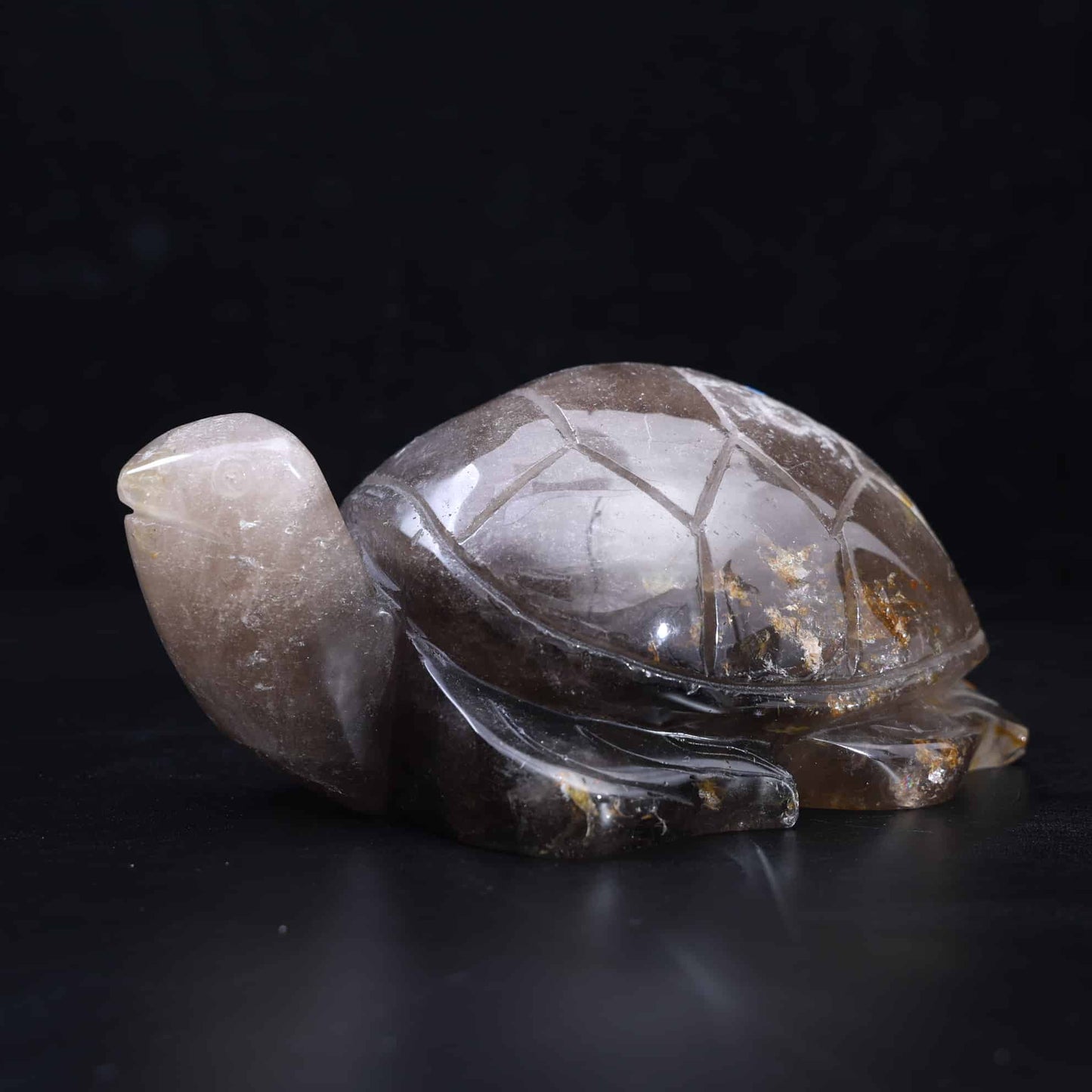 Smoky Quartz Turtle #53