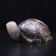 Smoky Quartz Turtle #53